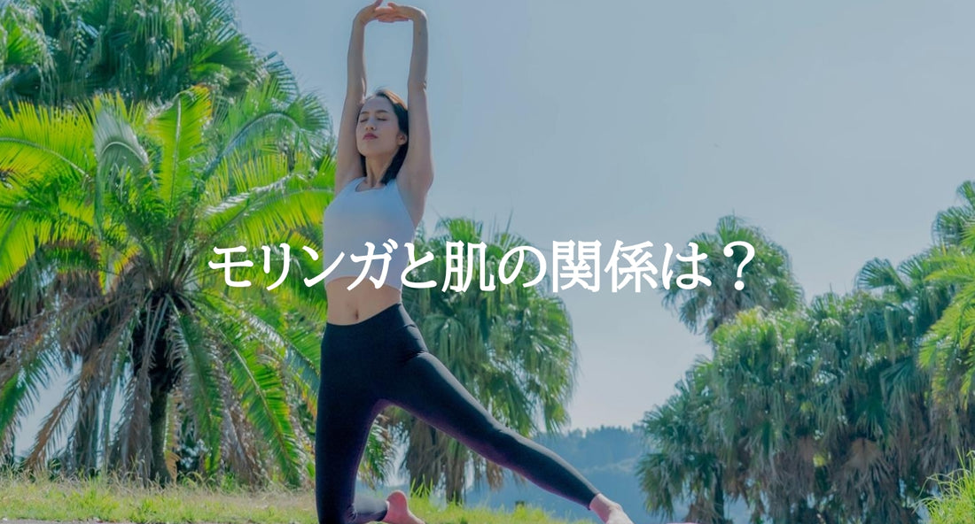 モリンガと肌の関係は?