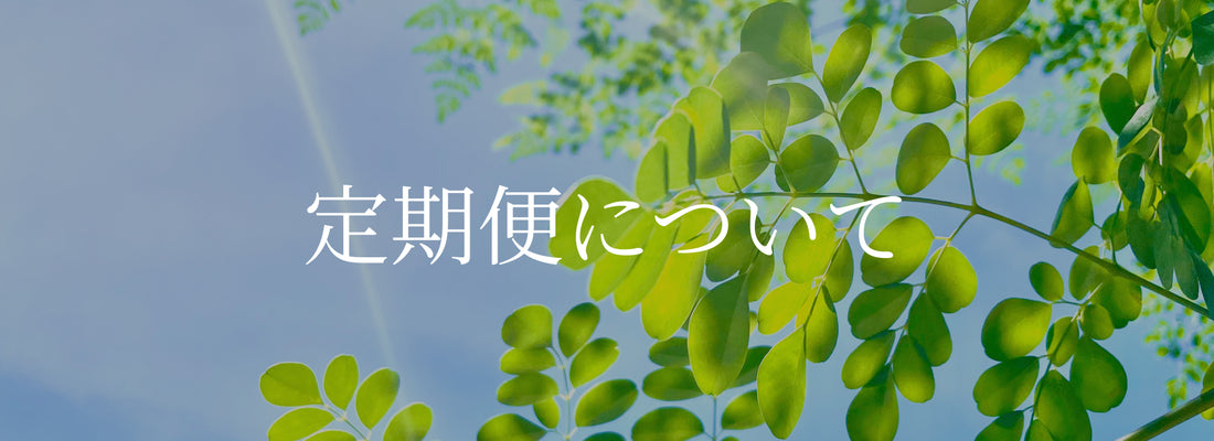 定期便について