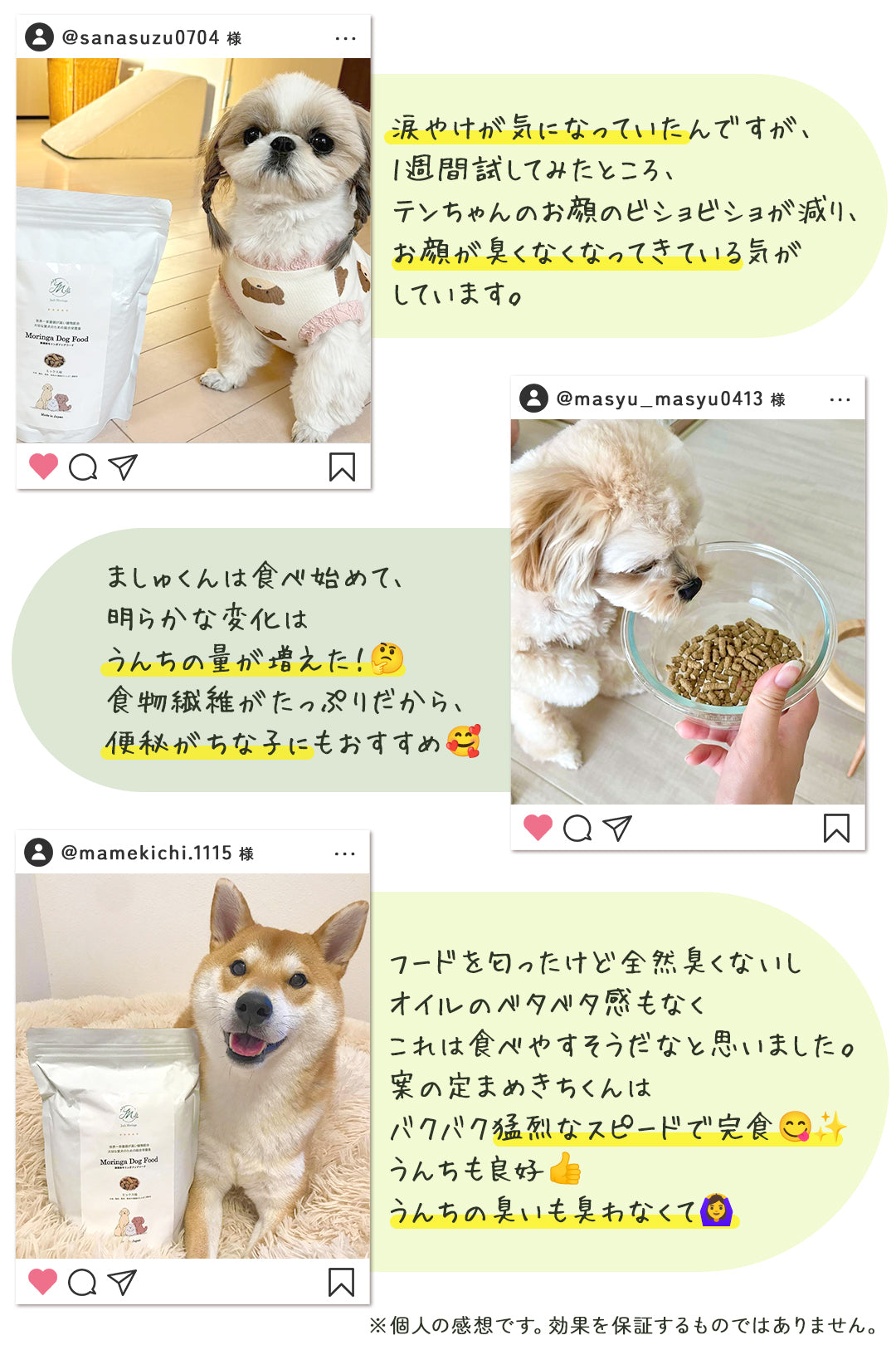 【お得な2点セット】国産モリンガパウダー×無添加モリンガドッグフード