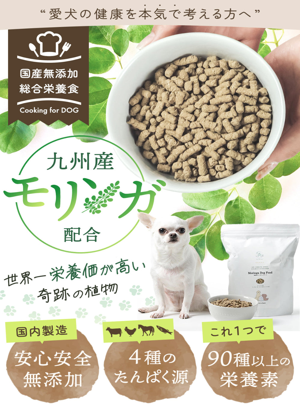 【お得な2点セット】国産モリンガパウダー×無添加モリンガドッグフード