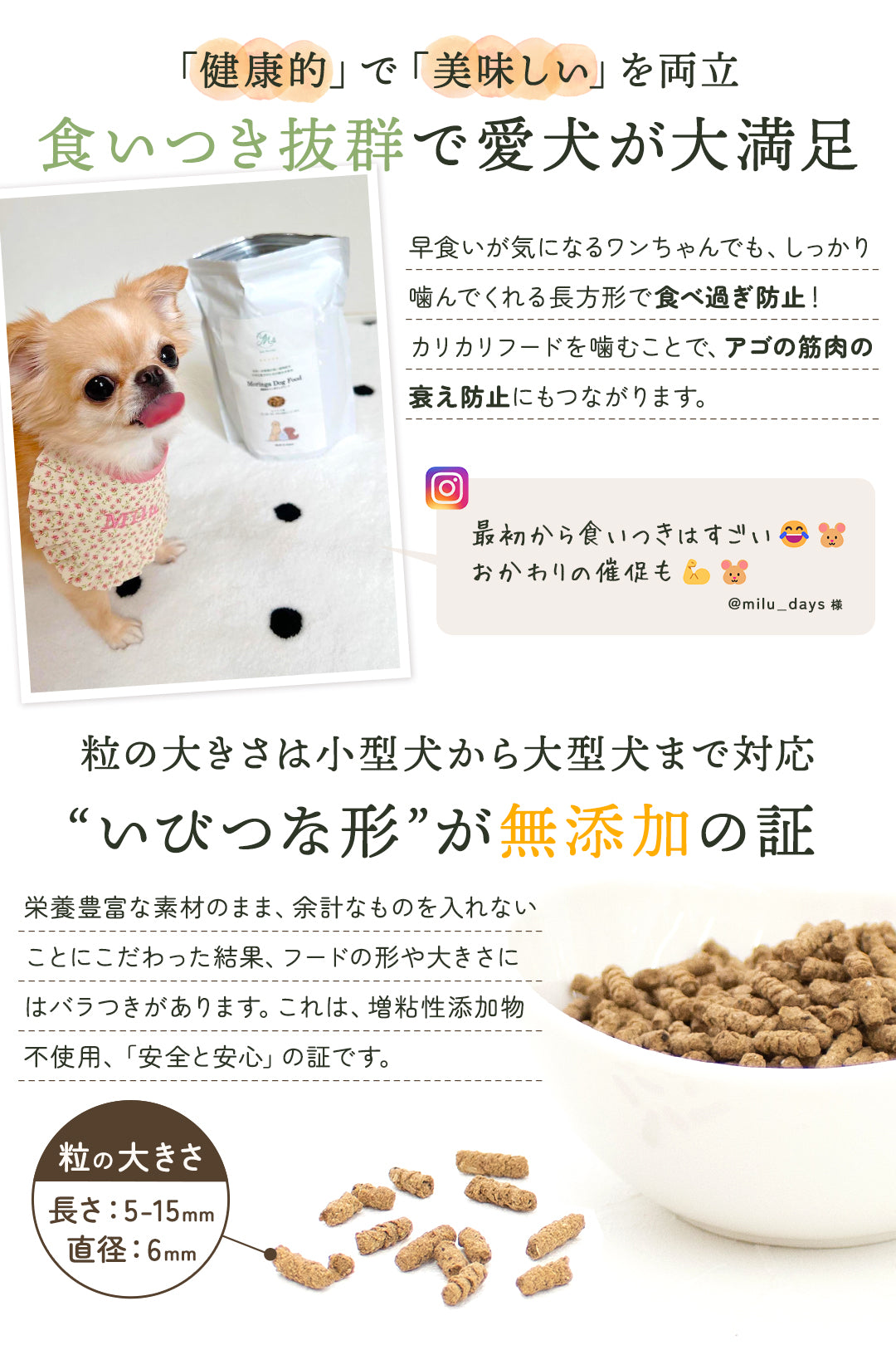 【お得な2点セット】国産モリンガパウダー×無添加モリンガドッグフード