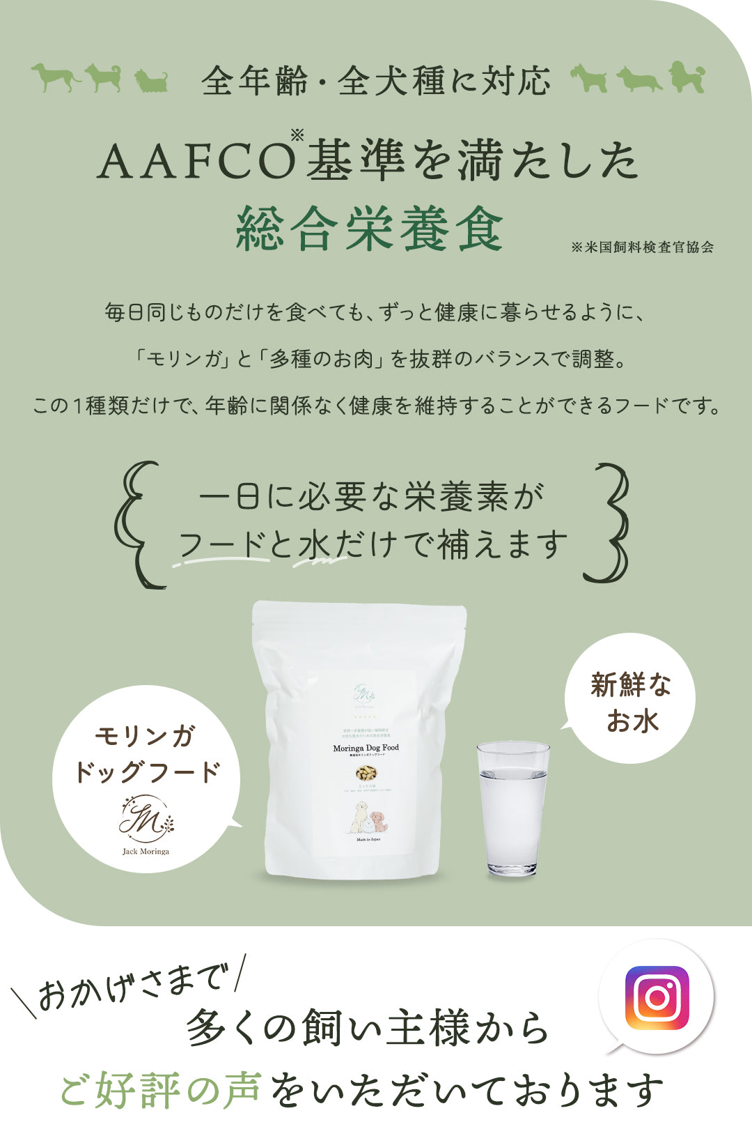 【お得な2点セット】国産モリンガパウダー×無添加モリンガドッグフード