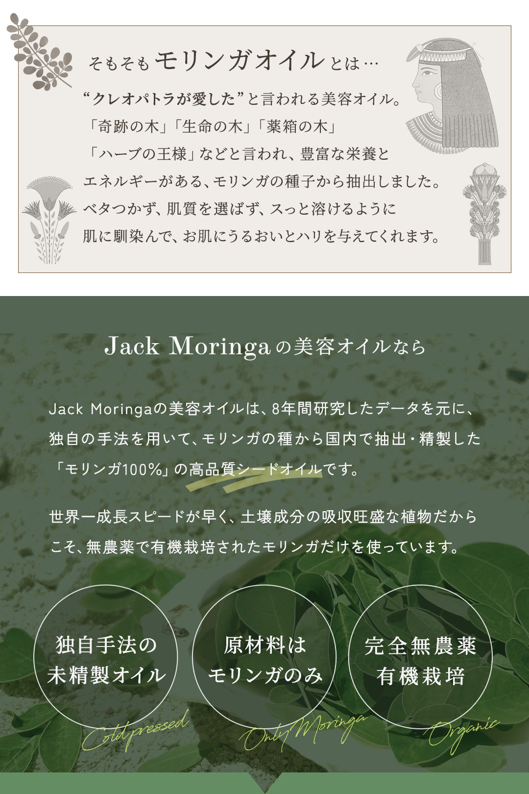 【お得な3点セット】国産モリンガパウダー×無添加モリンガドッグフード×オーガニックオイル