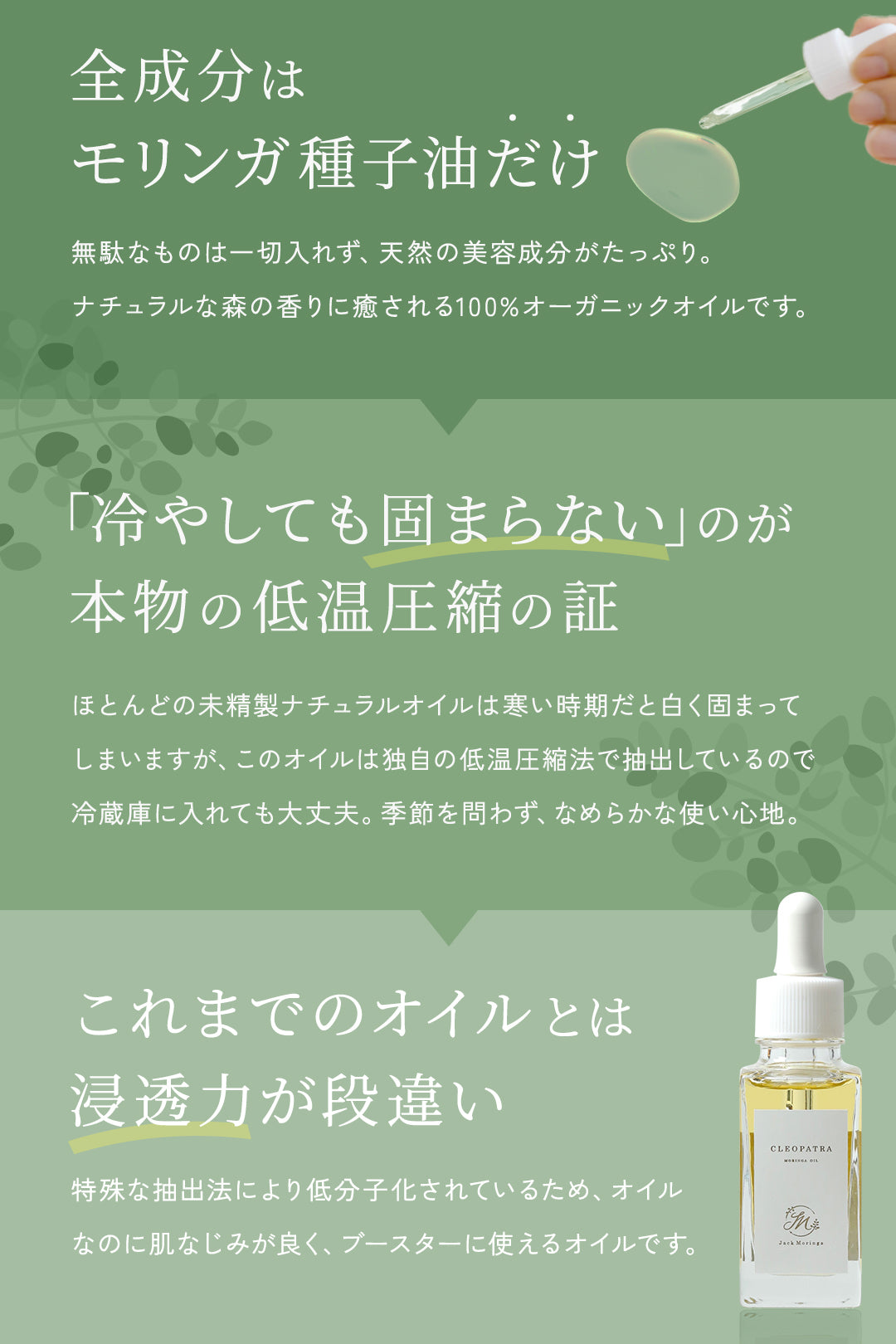 【お得な3点セット】国産モリンガパウダー×無添加モリンガドッグフード×オーガニックオイル