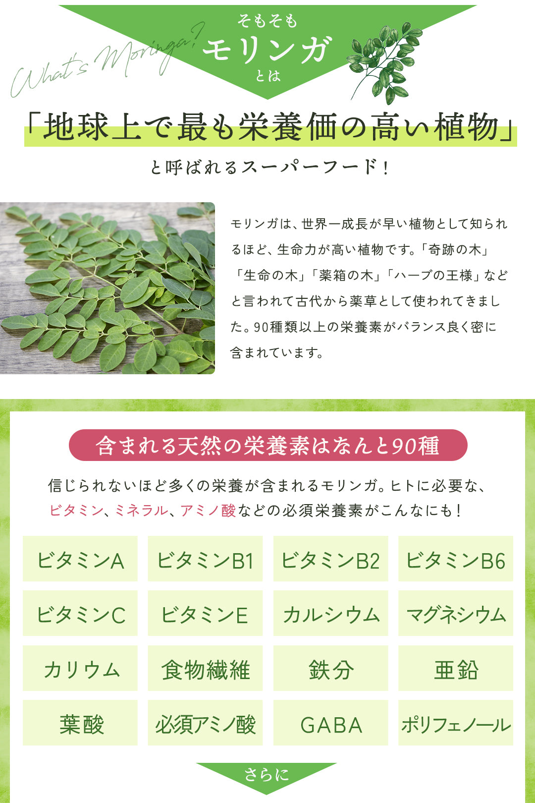 【お得な2点セット】国産モリンガパウダー×無添加モリンガドッグフード