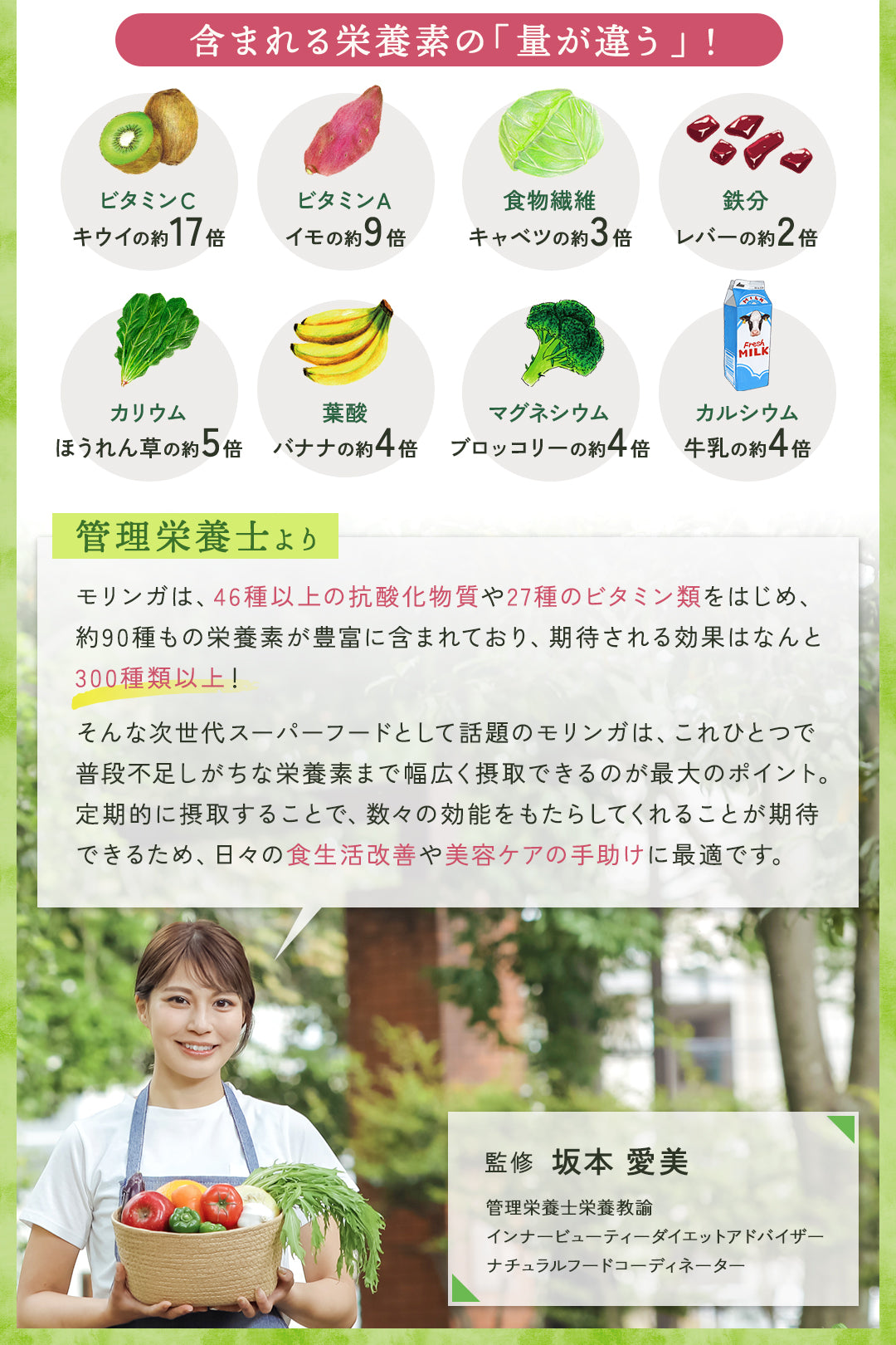 【お得な2点セット】国産モリンガパウダー×無添加モリンガドッグフード