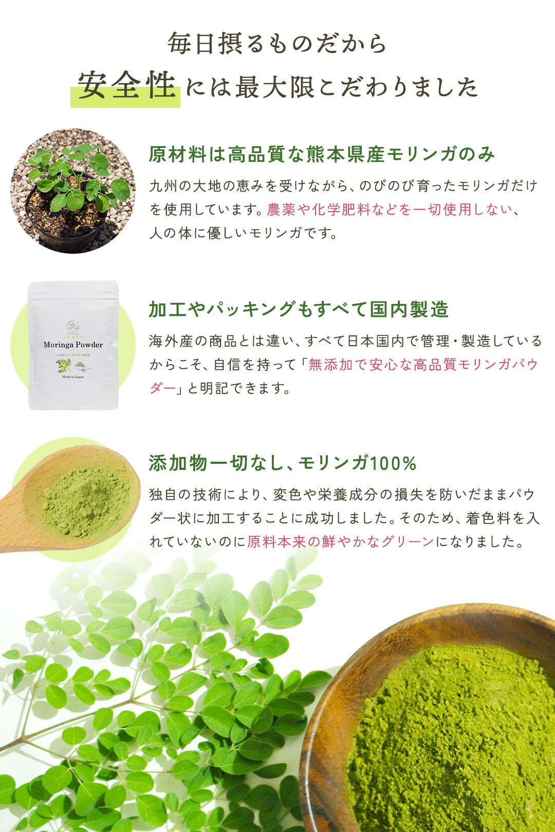 【お得な2点セット】国産モリンガパウダー×無添加モリンガドッグフード