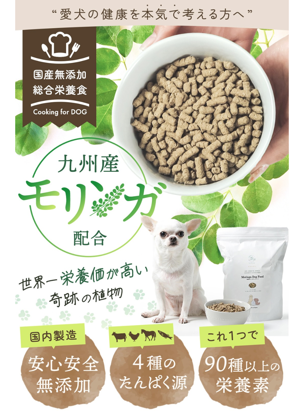 【お得な3点セット】国産モリンガパウダー×無添加モリンガドッグフード×オーガニックオイル