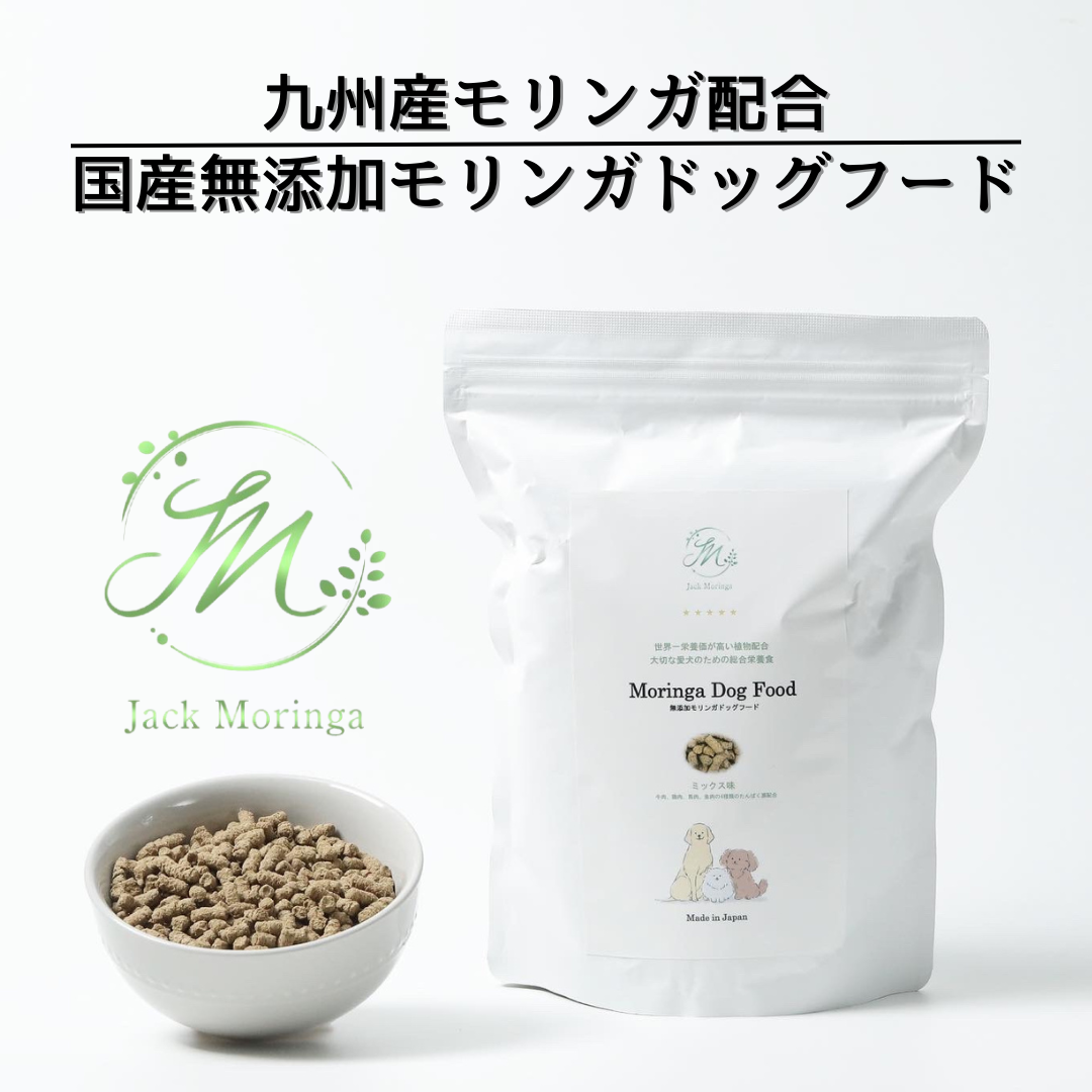 【お得な2点セット】国産モリンガパウダー×無添加モリンガドッグフード